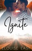 Ignite (Illuminate Matchmaking, #1) (eBook, ePUB)