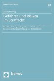 Gefahren und Risiken im Strafrecht (eBook, PDF) Gefahren und Risiken im Strafrecht (eBook, PDF)