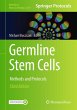 Germline Stem Cells - Bild 1
