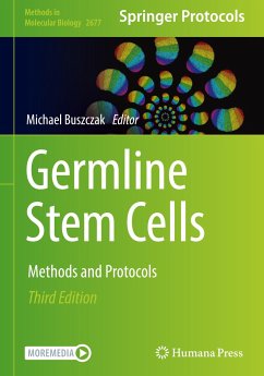 Germline Stem Cells