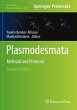 Plasmodesmata - Bild 1