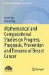 Mathematical and Computational Studies... - Bild 1