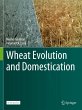 Wheat Evolution and Domestication - Bild 1