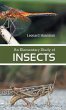 An Elementary Study of insects - Bild 1