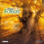 Deep Forest 2024