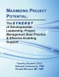 MAXIMIZING PROJECT POTENTIAL - Bild 1