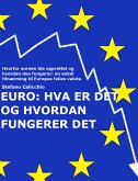 EURO: Hva er det og hvordan fungerer den (eBook, ePUB)