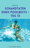 Schandtaten eines Poolboys - Teil 13 (eBook, ePUB) Schandtaten eines Poolboys - Teil 13 (eBook, ePUB)