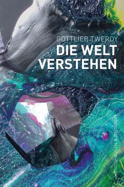 Cover Die Welt verstehen (eBook, PDF)