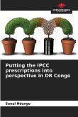 Putting the IPCC prescriptions into perspective in DR Congo