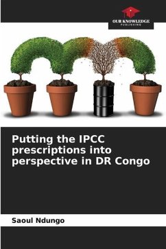 Putting the IPCC prescriptions into perspective in DR Congo - Ndungo, Saoul