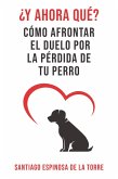 ¿Y ahora qué? (Cómo afrontar el duelo tras la pérdida de tu mascota, #2) (eBook, ePUB)