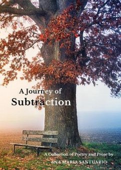 A Journey of Subtraction (eBook, ePUB) Cover A Journey of Subtraction (eBook, ePUB)