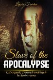 Slave of the Apocalypse (eBook, ePUB)
