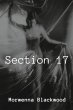 Section 17 (eBook, ePUB) - Bild 1