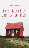 Die Weiber am Brunnen (eBook, ePUB)