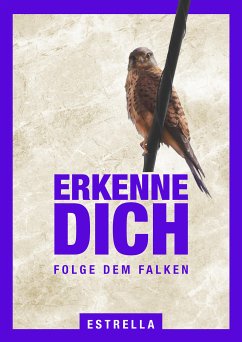 Erkenne Dich Folge dem Falken (eBook, ePUB) - Estrella