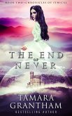 The End of Never (Chronicles of Ithical, #2) (eBook, ePUB)