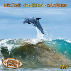 Dolphins/Delfine 2024
