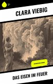 Das Eisen im Feuer (eBook, ePUB)