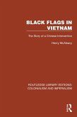 Black Flags in Vietnam (eBook, PDF)