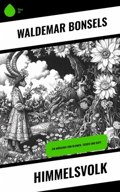 Cover Himmelsvolk (eBook, ePUB)