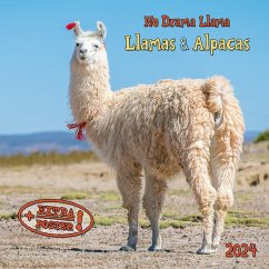 No Drama Llama 2024