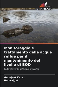 Monitoraggio e trattamento delle acque reflue per il mantenimento del livello di BOD - Kaur, Gunnjeet;Jat, Hemraj