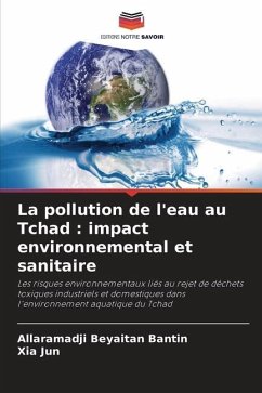 La pollution de l'eau au Tchad : impact environnemental et sanitaire - Beyaitan Bantin, Allaramadji;Jun, Xia