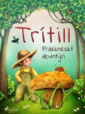 Trítill: Frakkneskt ævintýri (eBook, ePUB)