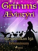 Gæsastúlkan hjá brunninum (eBook, ePUB)