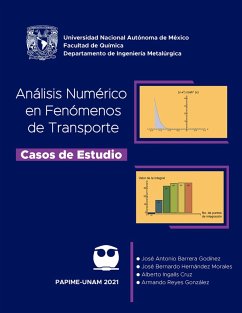 Cover Análisis numérico en fenómenos de transporte. Casos de estudio (eBook, ePUB)