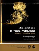 Modelado Físico de Procesos Metalúrgicos. Guiones de Trabajo Experimental (eBook, ePUB)