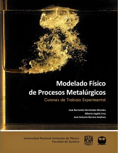 Cover Modelado Físico de Procesos Metalúrgicos. Guiones de Trabajo Experimental (eBook, ePUB)