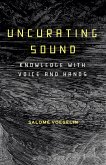 Uncurating Sound (eBook, ePUB)