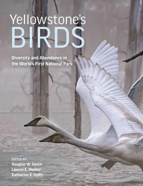 Yellowstone's Birds (eBook, PDF) Yellowstone's Birds (eBook, PDF)