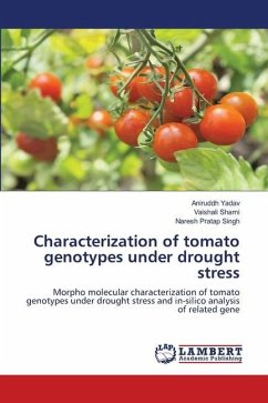 Characterization of tomato genotypes under drought stress