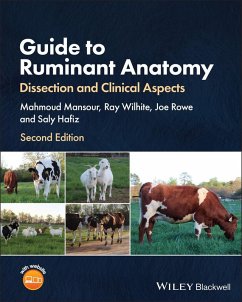Guide to Ruminant Anatomy (eBook, PDF) - Passler, Thomas