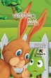 Ti'nChel Ena Eli - The Hare and the... - Bild 1