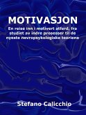 Motivasjon (eBook, ePUB)