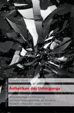 Ästhetiken des Untergangs (eBook, PDF)