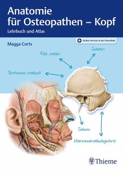 Anatomie für Osteopathen - Kopf - Corts, Magga