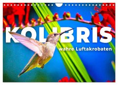 Kolibris - wahre Luftakrobaten (Wandkalender 2024 DIN A4 quer), CALVENDO Monatskalender - Monkey, Happy