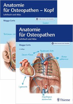 Set Anatomie für Osteopathen - Corts, Magga
