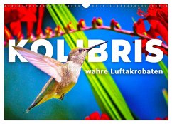 Kolibris - wahre Luftakrobaten (Wandkalender 2024 DIN A3 quer), CALVENDO Monatskalender - Monkey, Happy