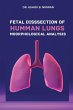 Fetal Dissection of Human Lungs... - Bild 1