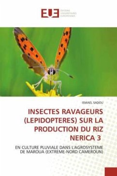 INSECTES RAVAGEURS (LEPIDOPTERES) SUR LA PRODUCTION DU RIZ NERICA 3 - Sadou, Ismael