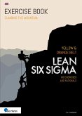 Lean Six Sigma Yellow & Orange Belt - English version (eBook, ePUB)