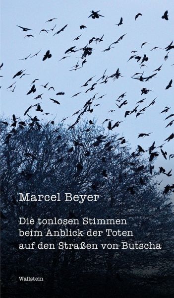 Die tonlosen Stimmen beim Anblick der Toten auf den Straßen von Butscha (eBook, ePUB)