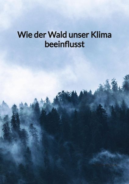 Wie der Wald unser Klima beeinflusst Wie der Wald unser Klima beeinflusst